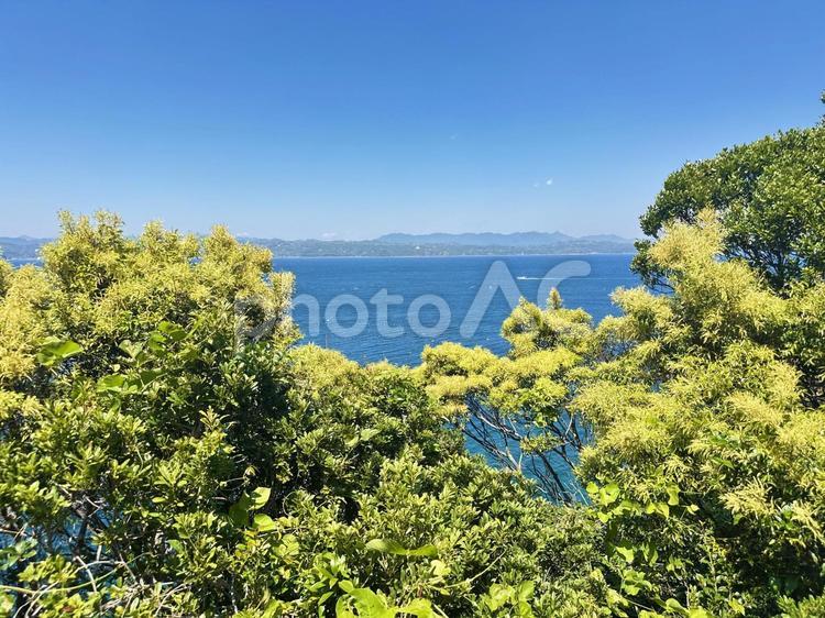 樫野埼灯台付近　園地内　紀伊大島 串本町樫野,紀伊大島,園地内の写真素材