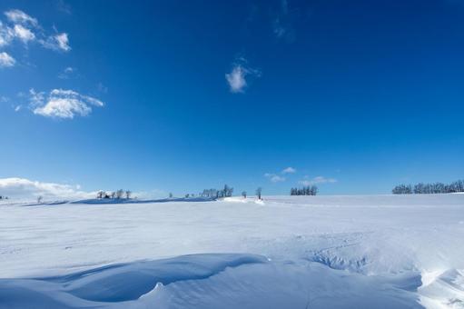 広がる雪原と抜けるような青空 広がる雪原と抜けるような青空の写真