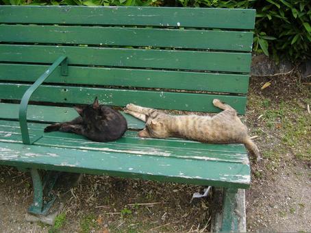 Bench Brown and black, JPG Bench Brown and black, JPG