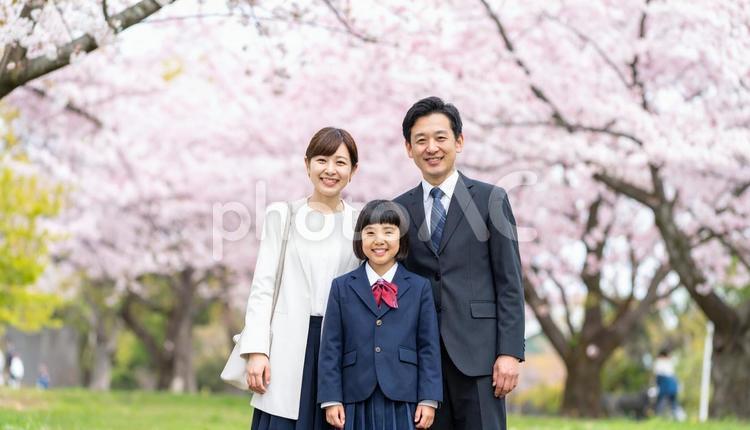 桜の木の下で家族が微笑む写真 新入生,新生活,スクールバッグの写真素材