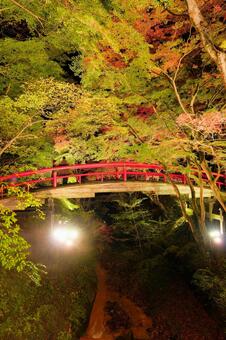 群馬県渋川市 秋の伊香保温泉、河鹿橋 伊香保,河鹿橋,群馬の写真素材