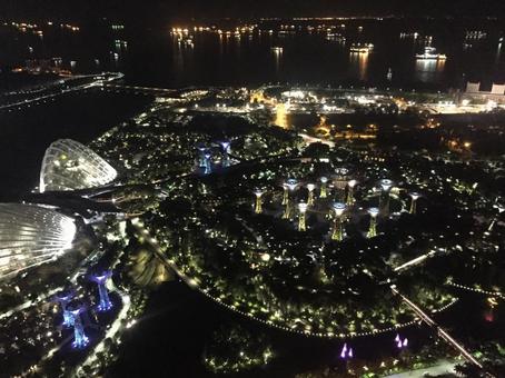 シンガポールの夜景の写真