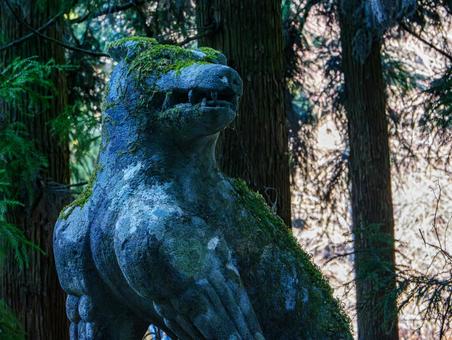 武甲神社の狛犬 狛犬,秩父,登山の写真素材