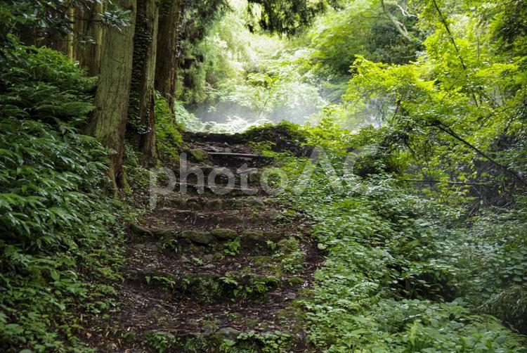 世界文化遺産　石見銀山の大久保間歩 石見銀山,石見銀山遺跡,大久保間歩の写真素材