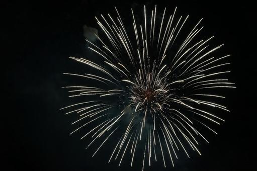 夜空に咲く白い花火 花火,打ち上げ花火,夜空の写真素材