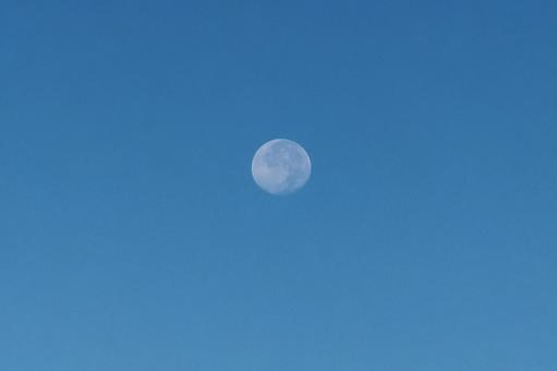 夕方の月 夕方の月 月,夕方,空の写真素材