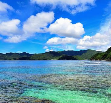 奄美 宇検村の海 奄美 宇検村の海 奄美,奄美大島,宇検村の写真素材
