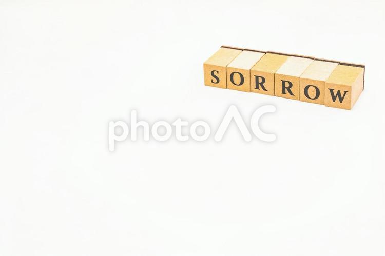 木のブロックの英単語　SORROW sorrow,ブロック,木ブロックの写真素材