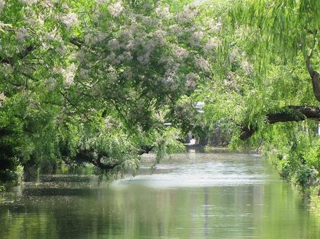 【風景写真】倉敷の風景 【風景写真】倉敷の風景の写真