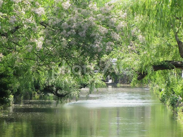 【風景写真】倉敷の風景 倉敷市,街並み,観光地の写真素材