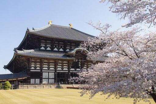 東大寺 大仏殿 東大寺,大仏殿,金堂の写真素材