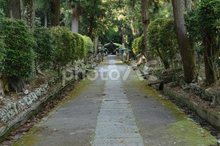 和歌山　根来寺　奥の院 根来寺,根來寺,寺の写真素材