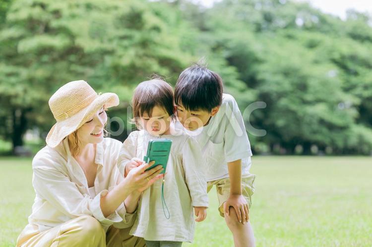 子供と一緒にスマホアプリを使うママ・母親 家族,親子,スマートフォンの写真素材