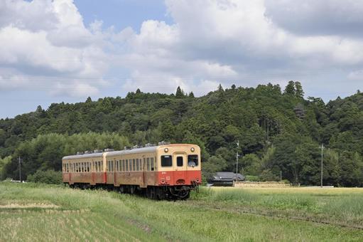 小湊鉄道 キハ200形,鉄道,キハ200の写真素材