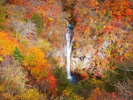 秋に色づく駒止の滝 日本,国内旅行,駒止の滝の写真素材