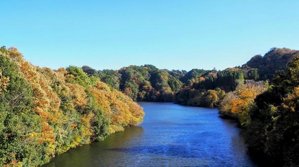秋の笹川湖＆湖畔の紅葉（千葉県・君津市） 秋,笹川湖,紅葉の写真素材