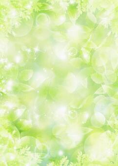 夏季陽光背景新鮮綠葉紋理 夏季陽光背景新鮮綠葉紋理