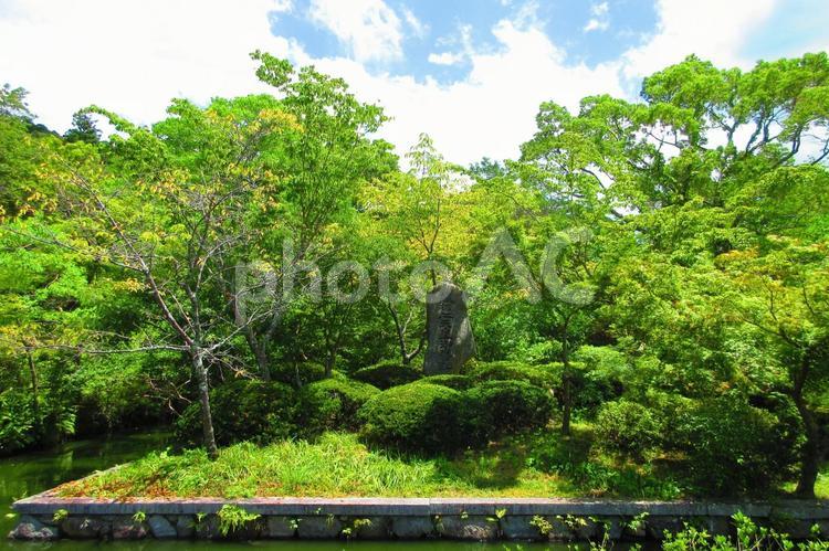大阪府-観心寺-後村上天皇御旧跡 観心寺,寺,檜尾山の写真素材