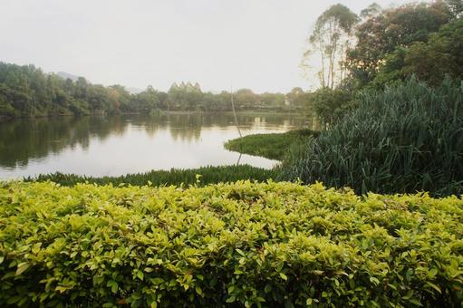池 池の写真