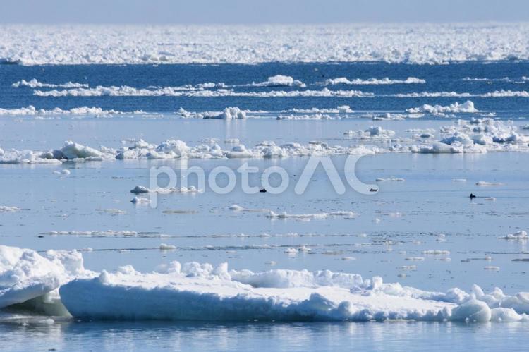 野付半島から見る流氷 日本,北海道,野付半島の写真素材