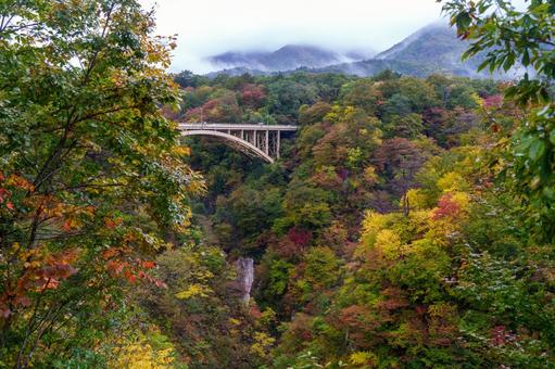 鳴子峡の紅葉 鳴子峡,紅葉,渓谷の写真素材