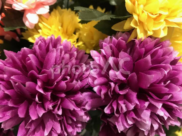 菊の花の造花、仏花 菊,仏,神様の写真素材