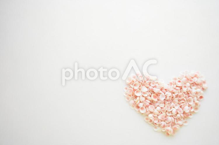 幸せを呼ぶ桜貝・小さいハート右下 桜貝,さくらがい,貝殻の写真素材
