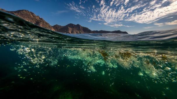 水上と水中の境界線が織りなす絶景 水上と水中の境界線が織りなす絶景の写真