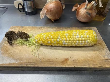 とうもろこし とうもろこし とうもろこし,野菜,穀類の写真素材