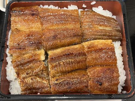 うな重 ウナギ,うなぎ,鰻の写真素材
