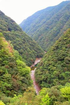 徳島県-祖谷渓展望台からの風景 徳島県-祖谷渓展望台からの風景 祖谷渓,渓谷,秘境の写真素材
