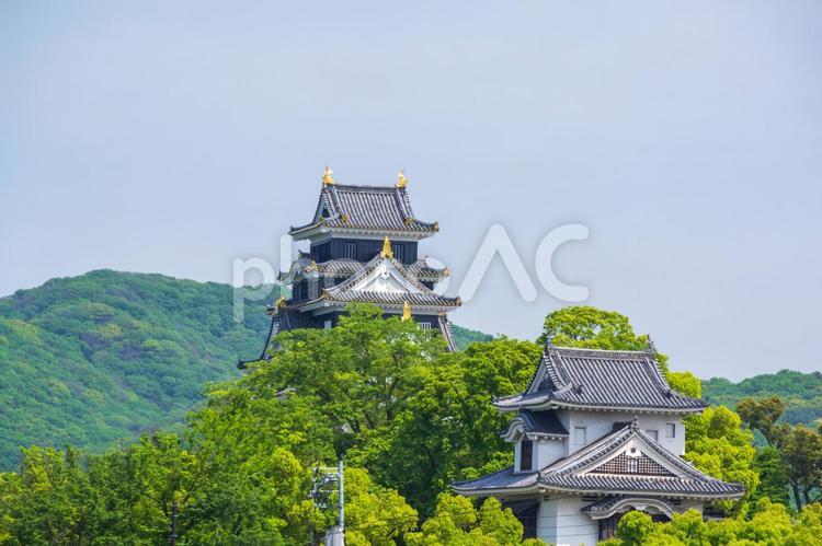 青空に映える岡山城と月見櫓の風景 岡山城,天守閣,月見櫓の写真素材