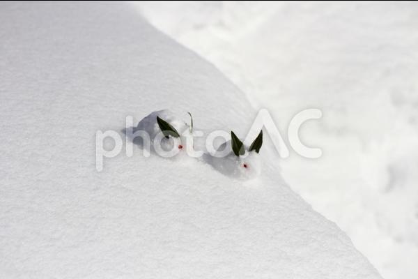 雪うさぎ 5 雪うさぎ 5個入 - 風月フーズのオンラインショップ