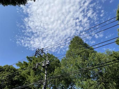 青空 青空 空,晴れ,森の写真素材