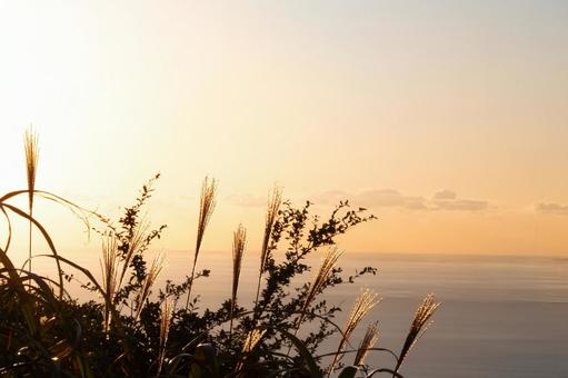 淡い夕暮れの空に輝くススキの穂と海 淡い夕暮れの空に輝くススキの穂と海 ススキ,穂,秋の写真素材