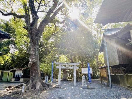 平尾天満宮 平尾天満宮の写真
