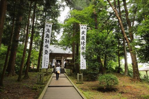 中尊寺 弁慶 中尊寺 弁慶 木,自然,風景の写真素材