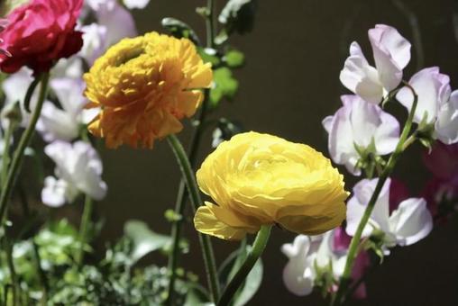 お花 お花の写真