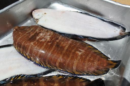 舌平目 瀬戸内海の魚 舌平目 瀬戸内海の魚 舌平目,シタビラメ,ヒラメの写真素材