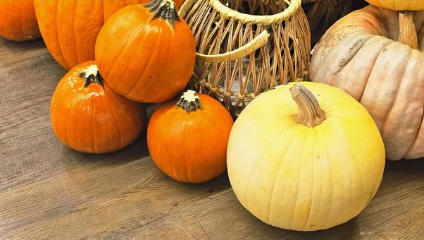 かぼちゃ かぼちゃ かぼちゃ,ハロウィン,収穫祭の写真素材
