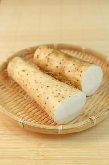 山芋 山芋の写真
