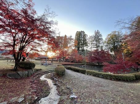 秋の風景 紅葉,黄葉,もみじの写真素材