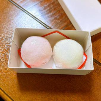 紅白まんじゅう 紅白まんじゅうの写真