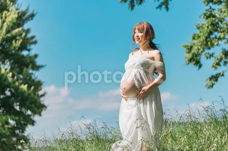 マタニティフォトの撮影をする妊婦の女性 妊婦,妊娠,空の写真素材