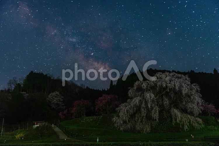 奈良県宇陀市　星空と又兵衛桜 又兵衛桜,桜,天の川の写真素材