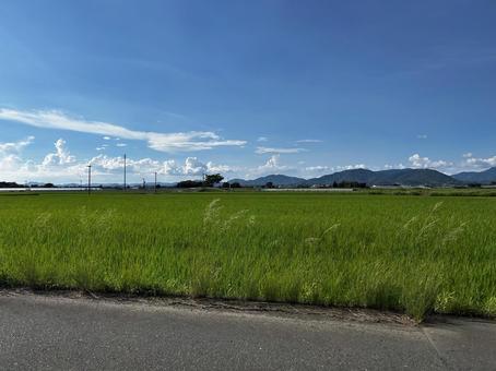 風景 風景の写真