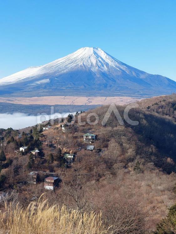 冬の早朝　別荘街と富士山 富士山,平尾山,山頂の写真素材