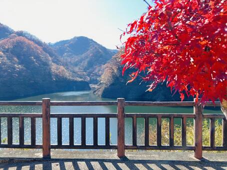 真っ赤な紅葉と湖の秋景色 紅葉,もみじ,カエデの写真素材