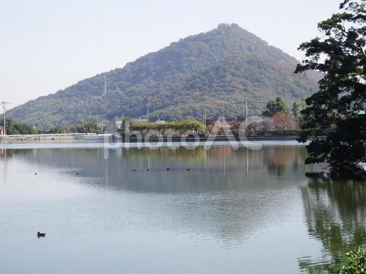 田舎の風景 公園,晴れ,池の写真素材