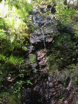 苔むした岩肌を流れる小さな滝 苔むした岩肌を流れる小さな滝の写真